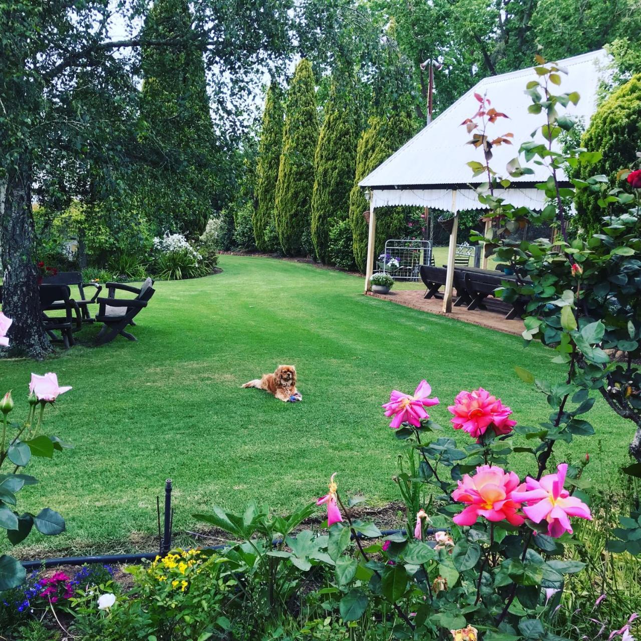 Dingup House Bed & Breakfast แมนจิมัป ภายนอก รูปภาพ